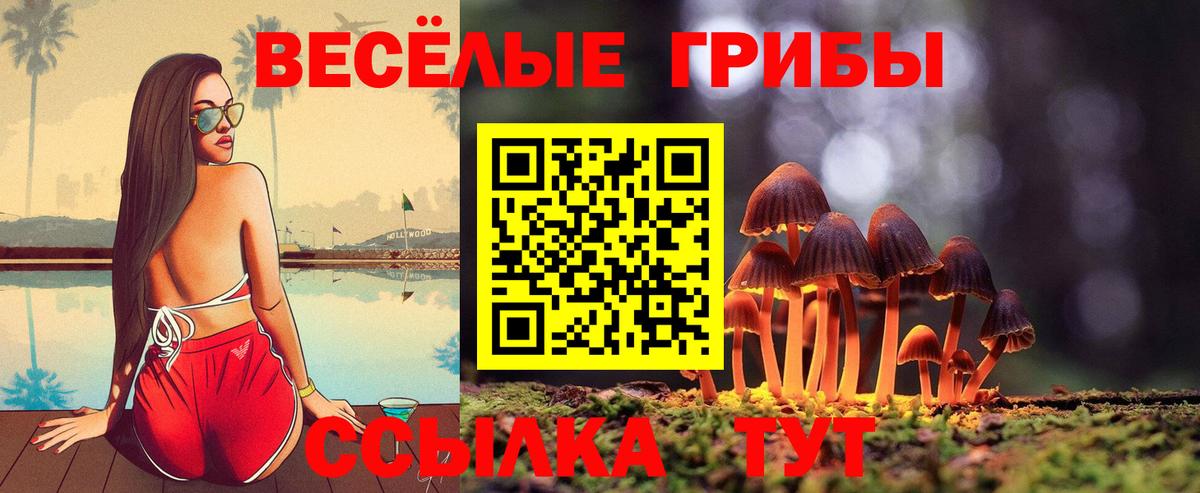 Минусинск  Галлюциногенные грибы мицелий  Вход с VPN 