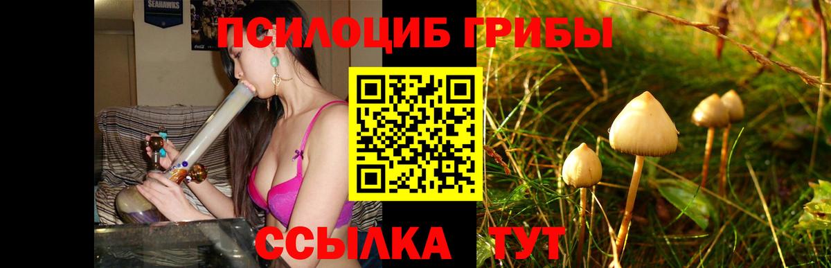 Галлюциногенные грибы прущие грибы Минусинск