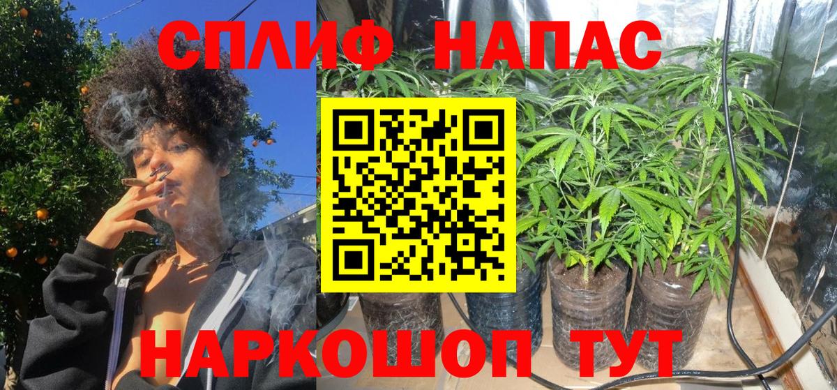 Конопля индика Минусинск